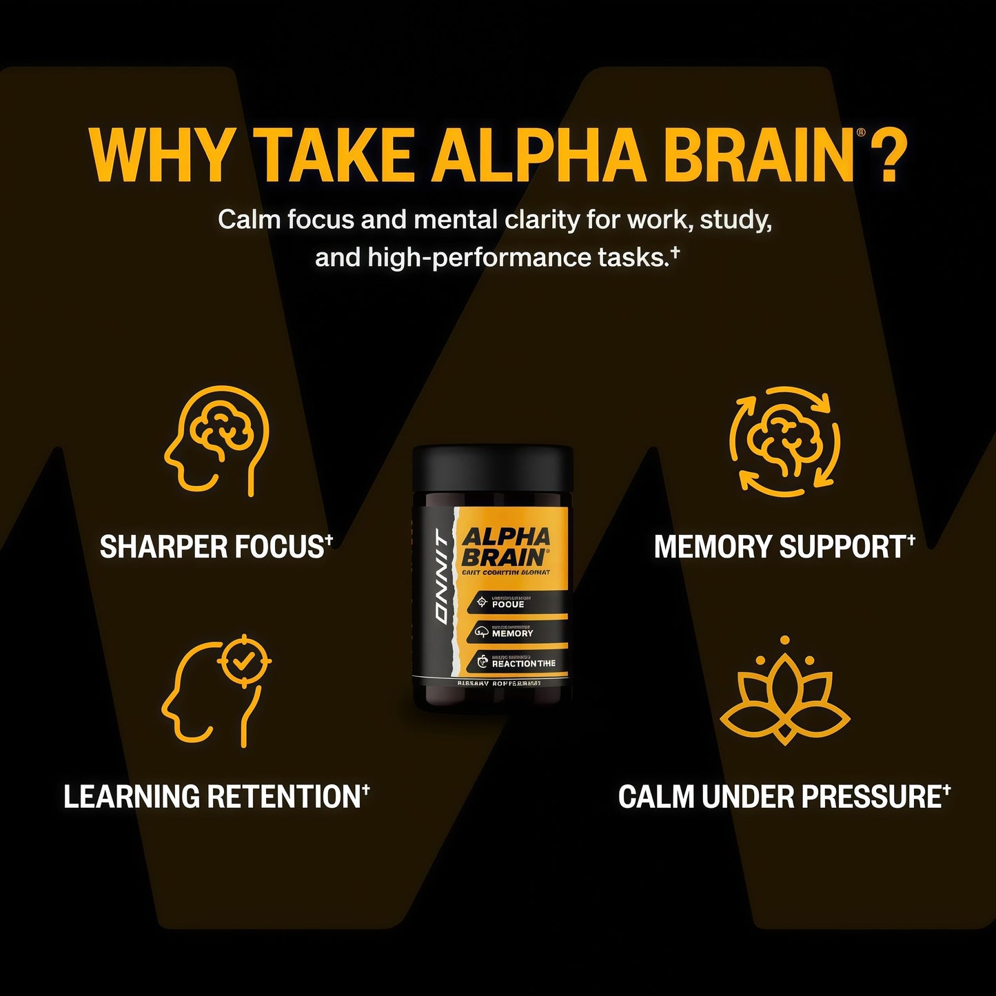 ONNIT Alpha Brain Nootropic BrainSupplement for Focus, Memory, Mental Clarity,Cognitive Support with L-Theanine andVitamin B6, 90 Count