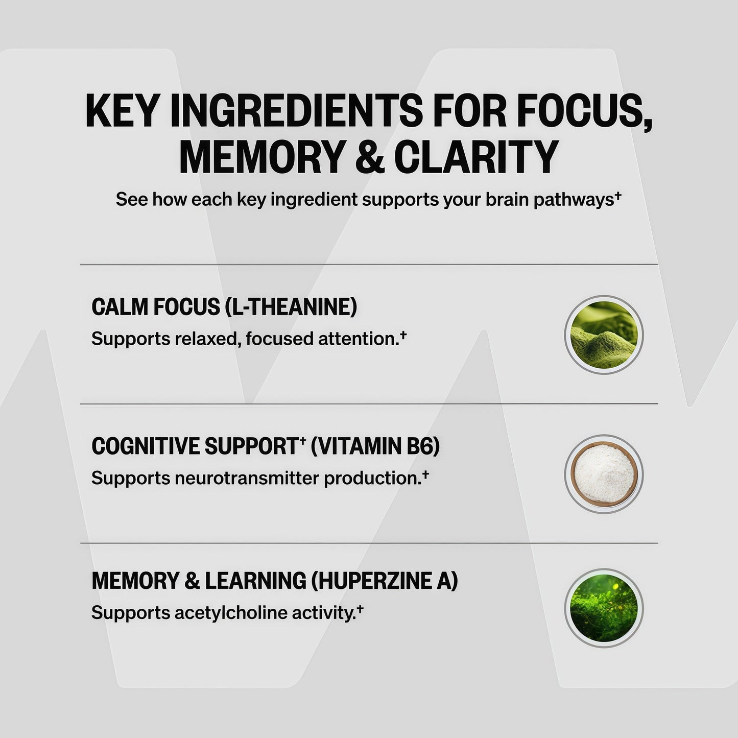 ONNIT Alpha Brain Nootropic BrainSupplement for Focus, Memory, Mental Clarity,Cognitive Support with L-Theanine andVitamin B6, 90 Count