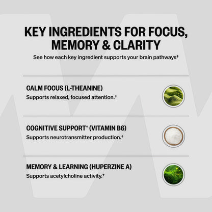 ONNIT Alpha Brain Nootropic BrainSupplement for Focus, Memory, Mental Clarity,Cognitive Support with L-Theanine andVitamin B6, 90 Count